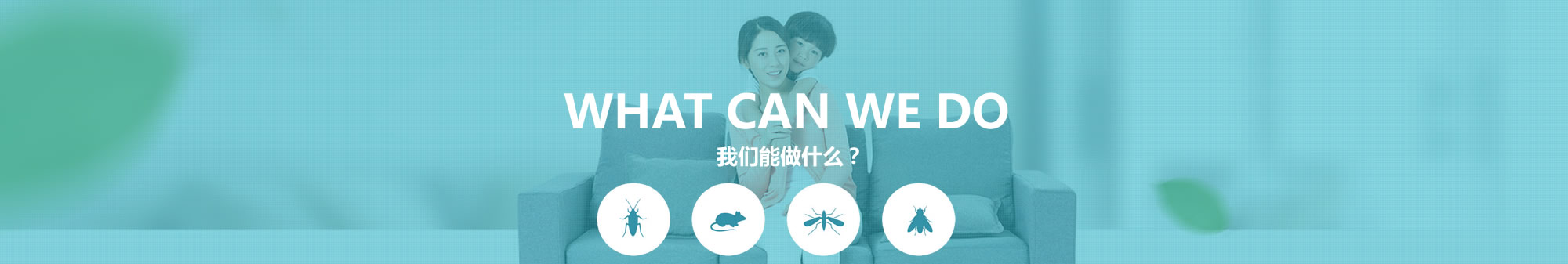苏州灭老鼠|苏州灭白蚁|苏州捷众有害生物防治有限公司